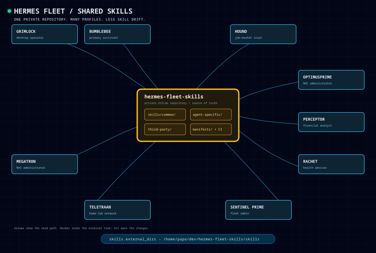 Diagram of directly managed Hermes agents reading common and profile-specific skills from a shared Git repository